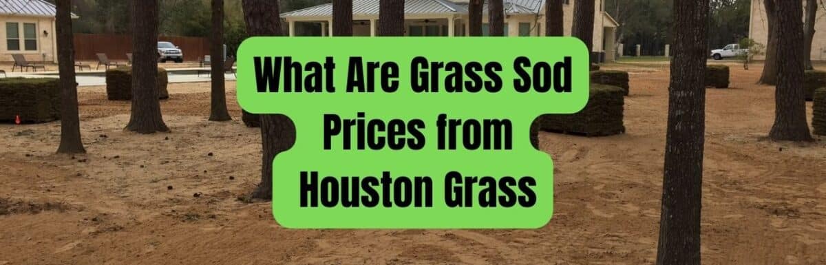 What Are Grass Sod Prices from Houston Grass