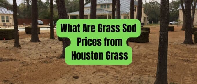 What Are Grass Sod Prices from Houston Grass
