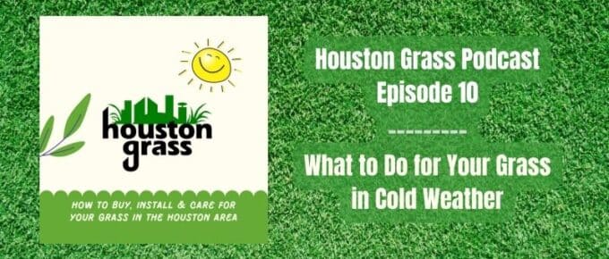 Houston Grass Podcast Episode 10