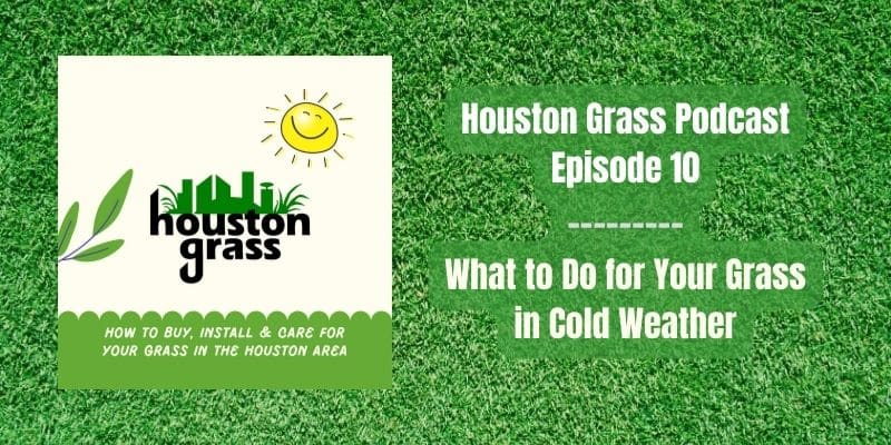 Houston Grass Podcast Episode 10