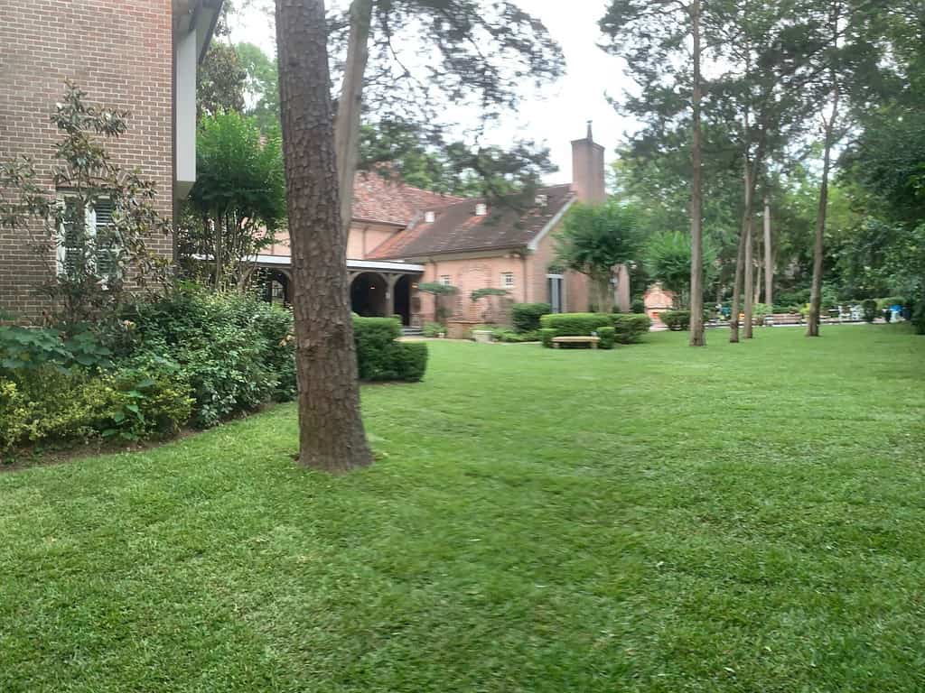 Houston Grass Blog Posts