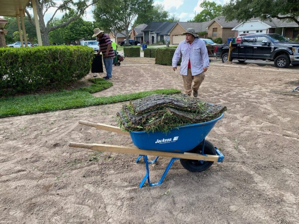 Houston Grass Grass Sod Services