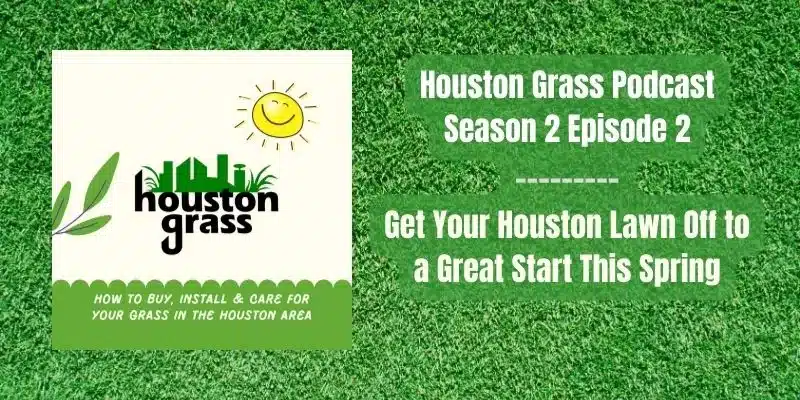 Get Your Lawn Off to a Great Start