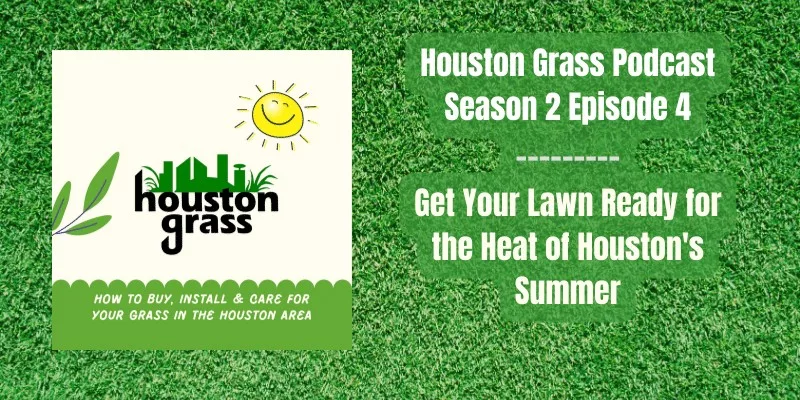 Get Your Lawn Ready for the Heat
