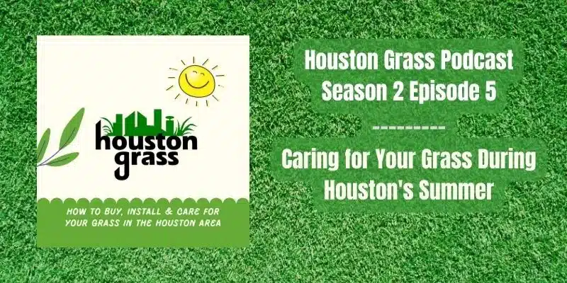 Caring for Your Grass During Houston's Summer