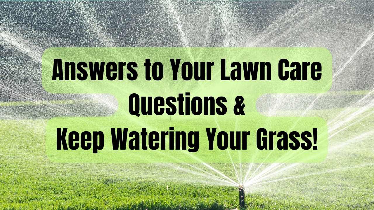 Answers to Your Lawn Care Questions & Keep Watering Your Grass!