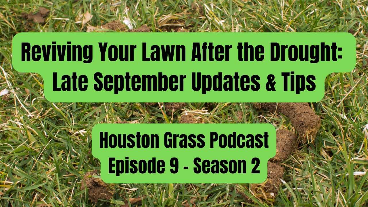 Reviving Your Lawn After the Drought Late September Updates & Tips