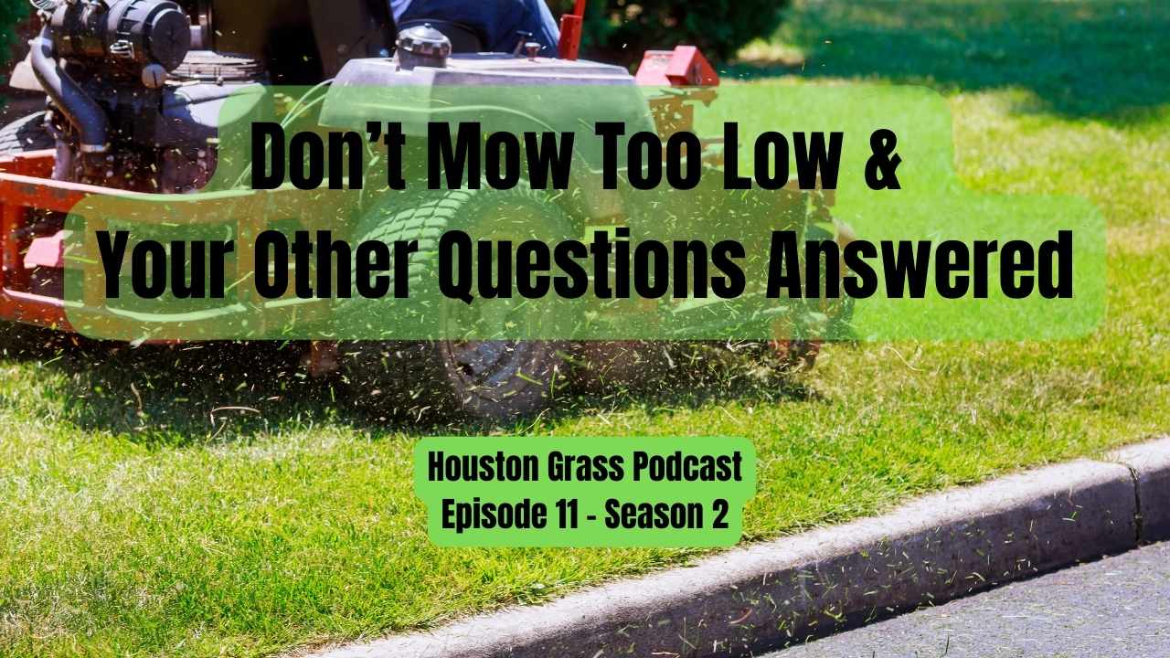 Don’t Mow Too Low & Your Questions Answered