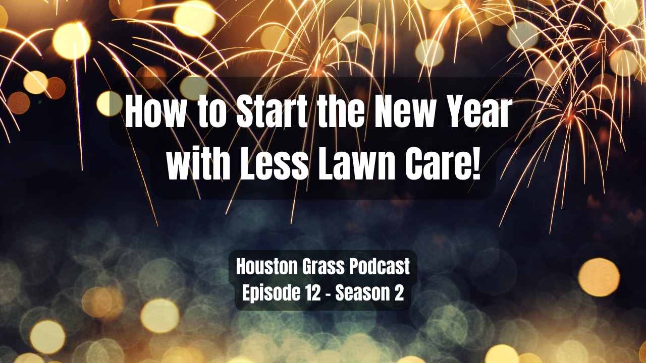 How to Start the New Year with Less Lawn Care!