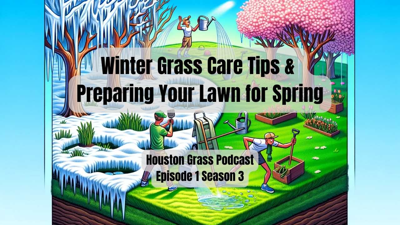 Winter Grass Care Tips & Preparing Your Lawn for Spring