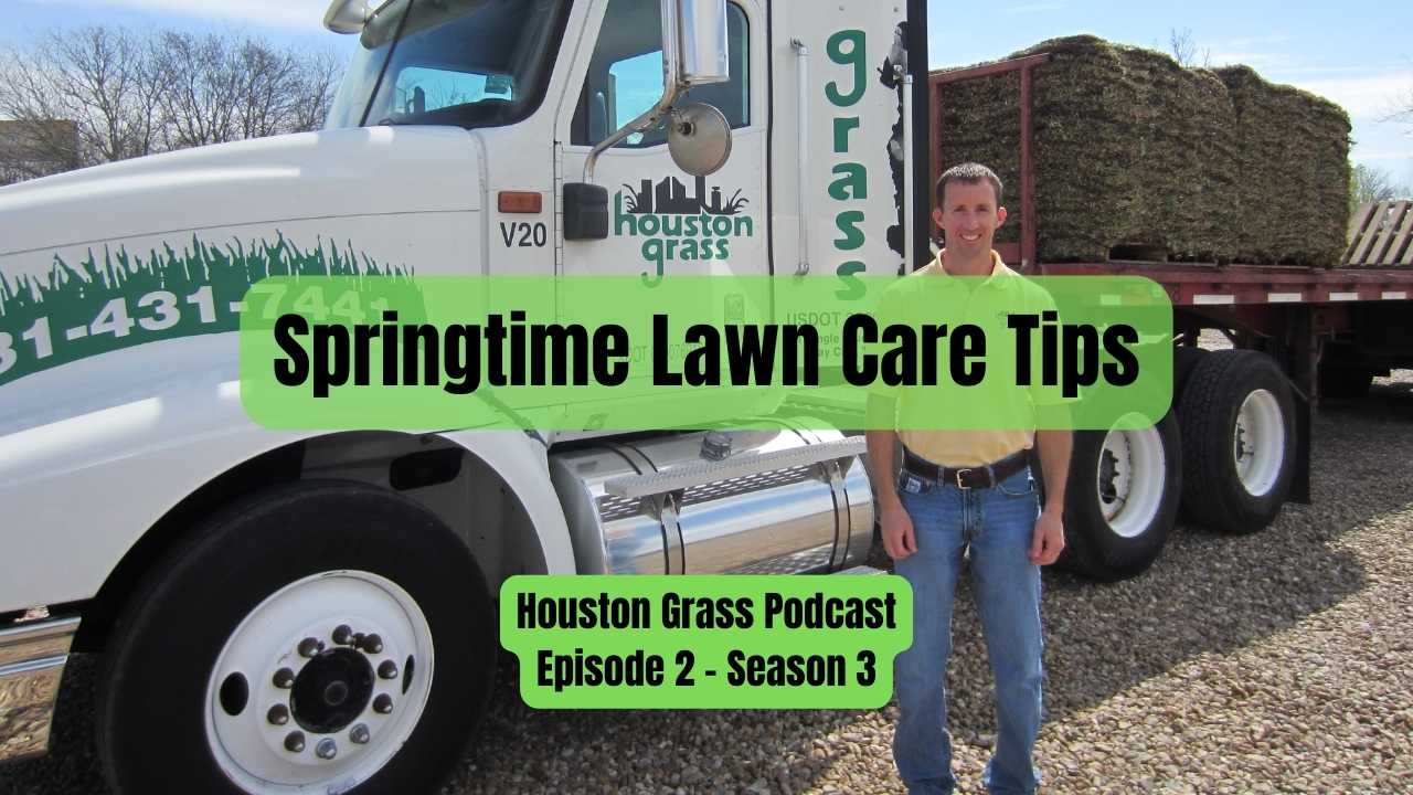 Springtime Lawn Care Tips