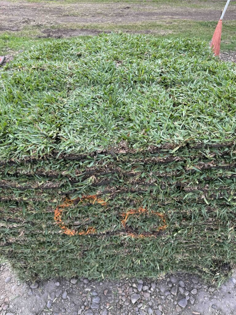 Cobalt Grass Pallet