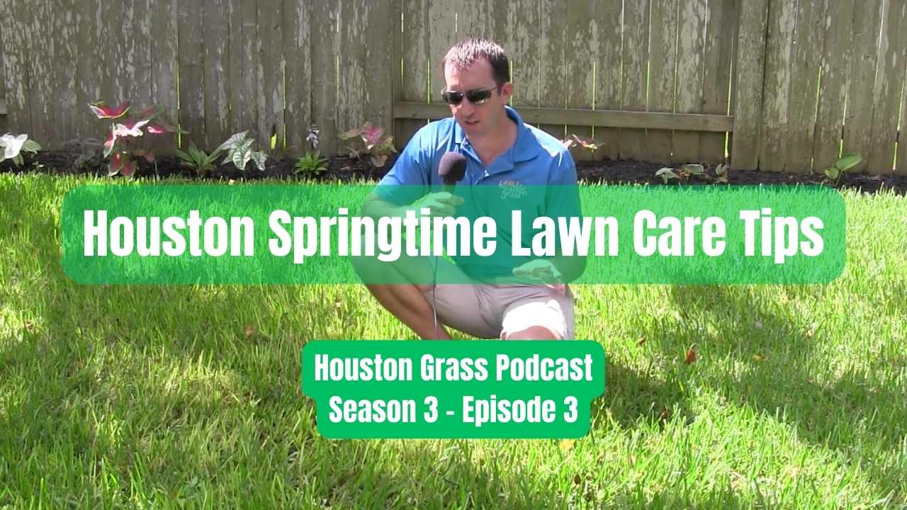 Houston Springtime Lawn Care Tips