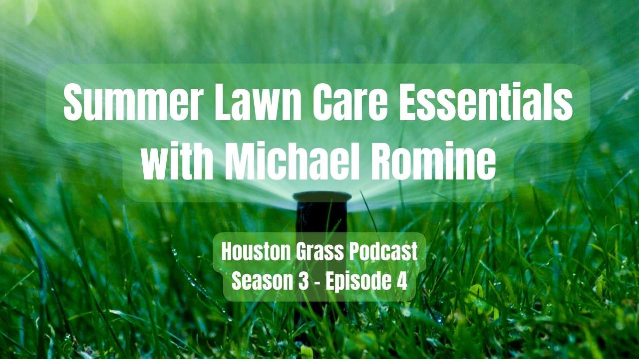 Summer Lawn Care Essentials with Michael Romine