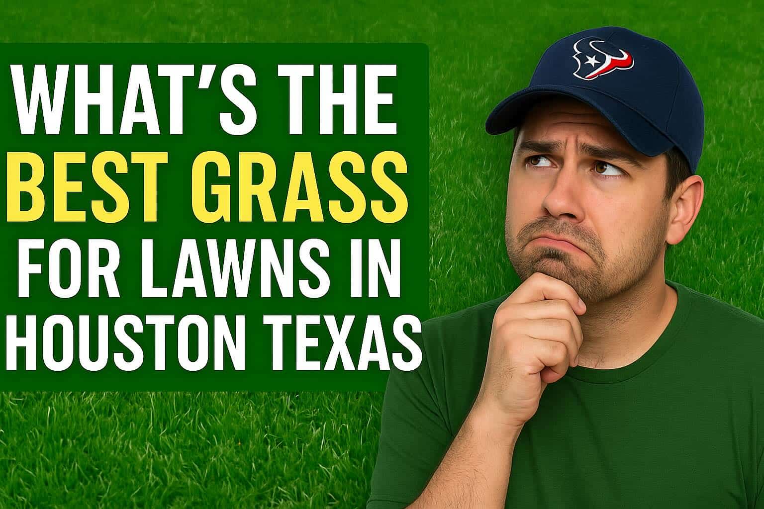Best Grass for Lawns in Houston Texas