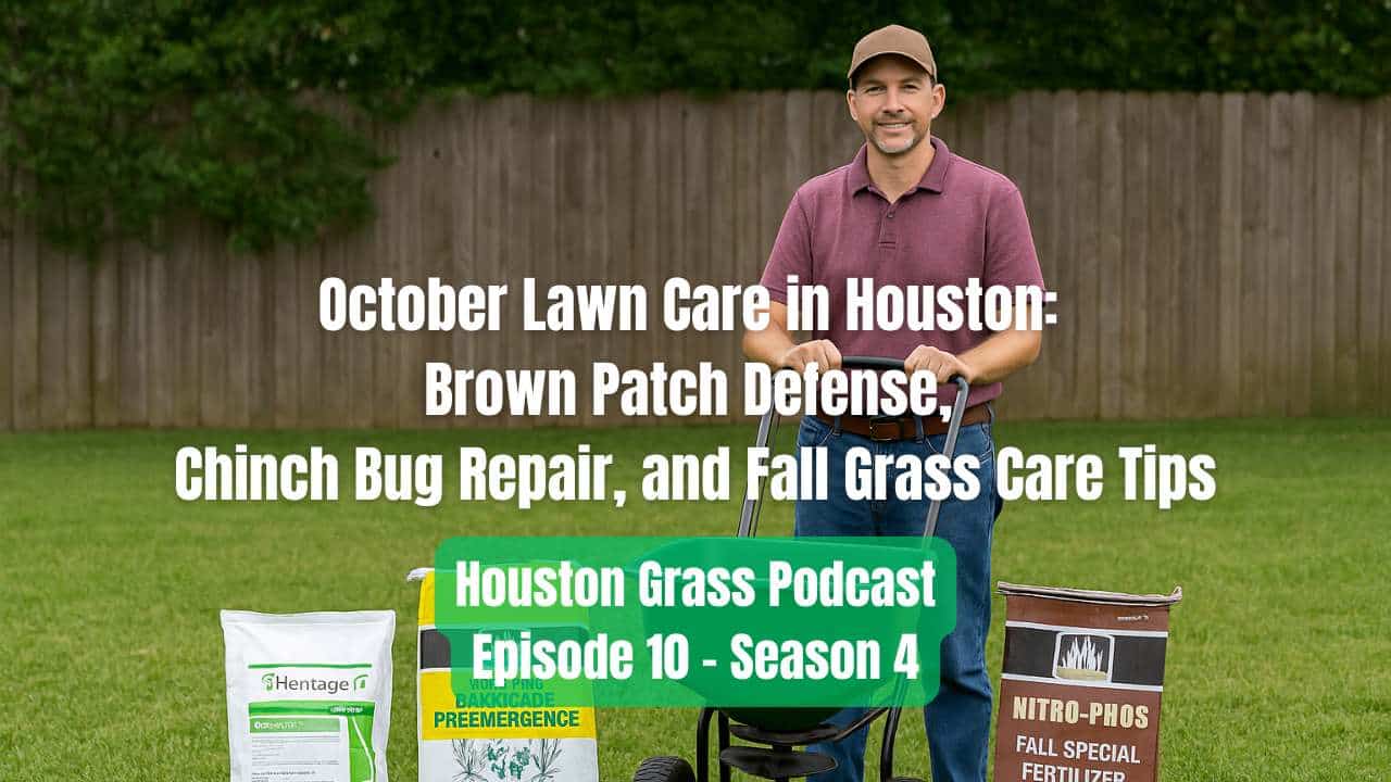 October Lawn Care in Houston