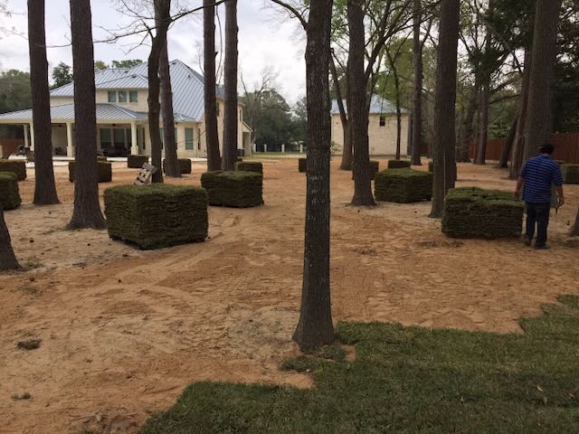 How to Buy and Install Grass Sod Perfect for Your Needs How to Buy and Install Grass Sod Perfect for Your Needs