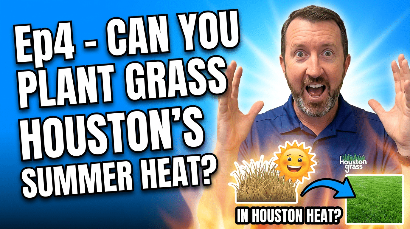 Can You Plant Grass in Houston Summer Heat