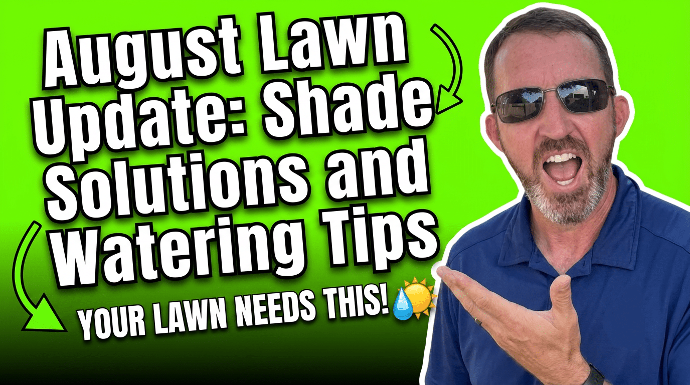 August 8 Lawn Update_ Shade, Water, and Tips for a Healthy Lawn